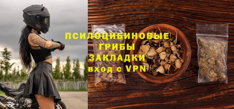 Галлюциногенные грибы Psilocybe  продажа наркотиков  Северо-Курильск 